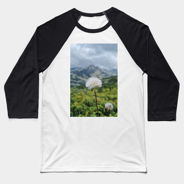 Mountain Dandelion Baseball T-Shirt by Anastasia-03